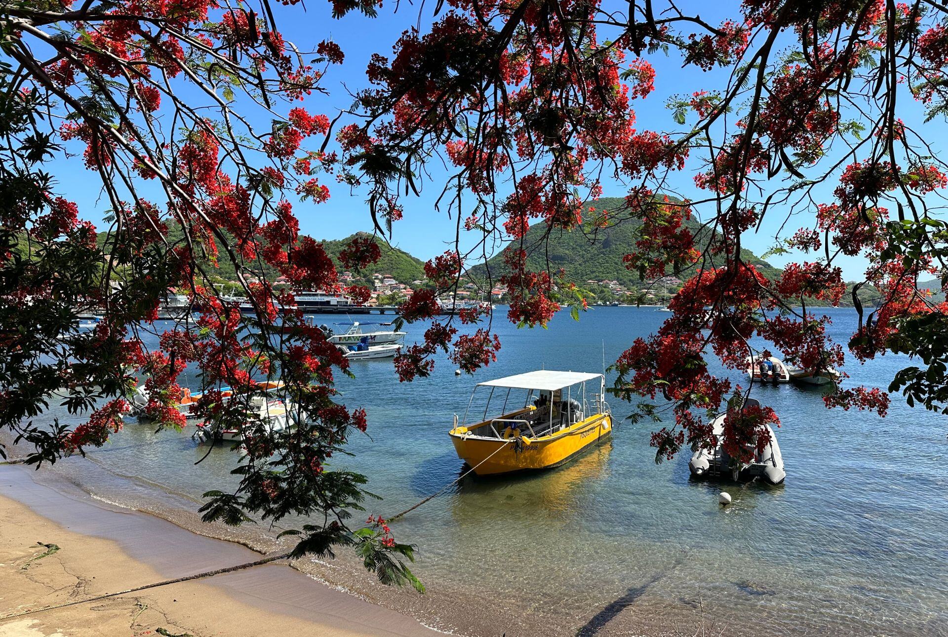 LES SAINTES (4)